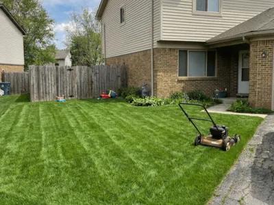 Lawn Enhancement after