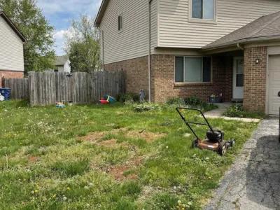 Lawn Enhancement before